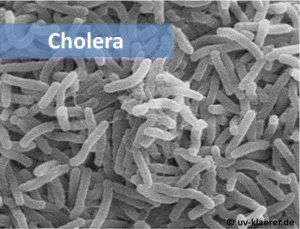 cholera_keime_im_wasser_uvc_mikroorganismen