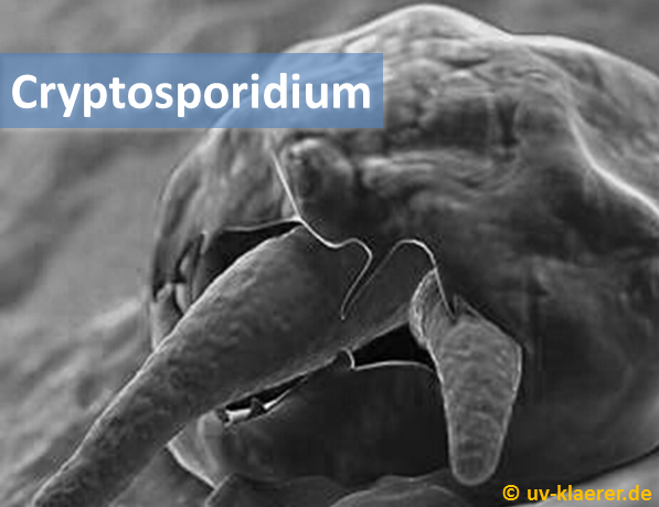 cryptosporidium_keime_im_wasser_uvc_mikroorganismen