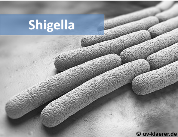 shigella_keime_im_wasser_uvc_mikroorganismen