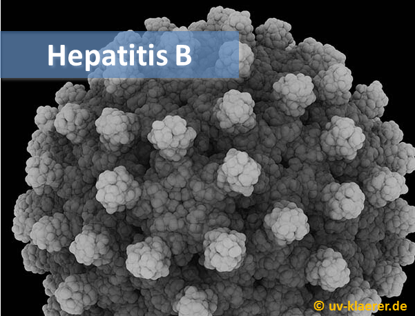 virus_hepatitis_b_keime_im_wasser_uvc_mikroorganismen